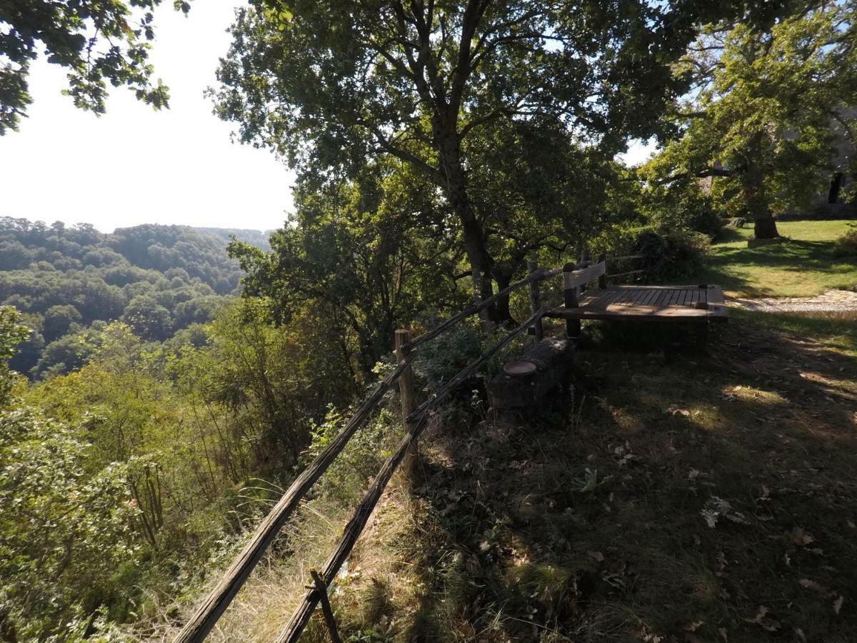 The Nest Orvieto Exterior photo