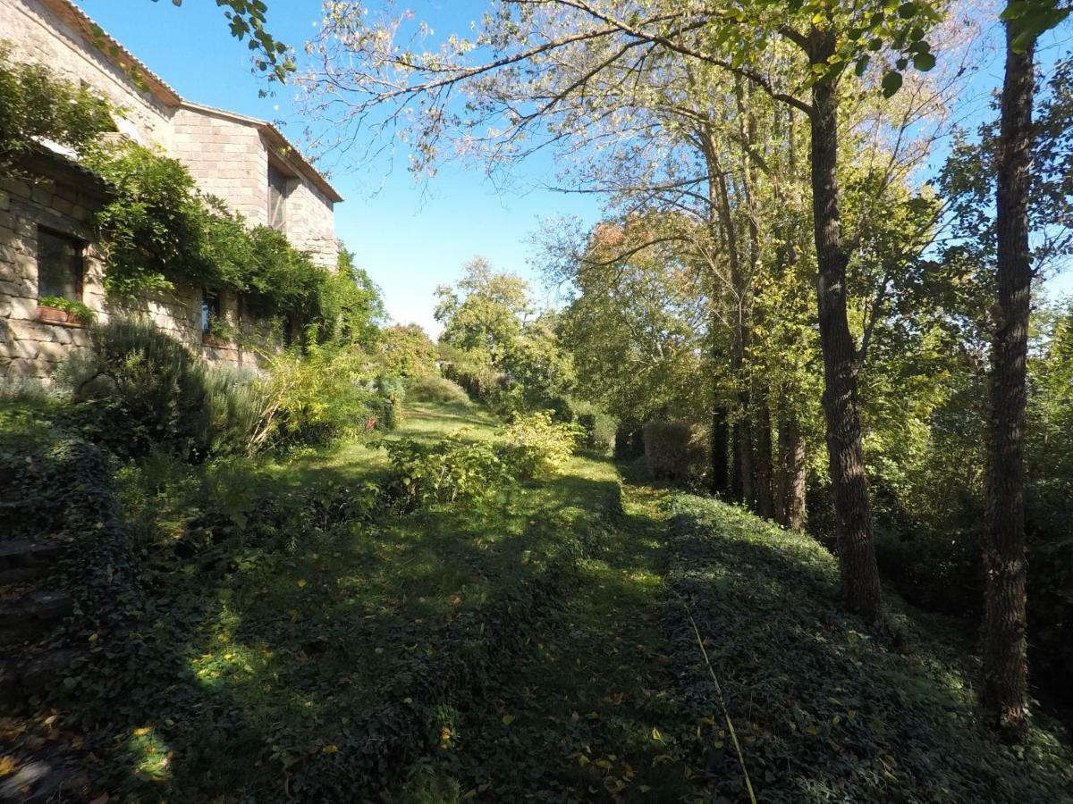 The Nest Orvieto Exterior photo