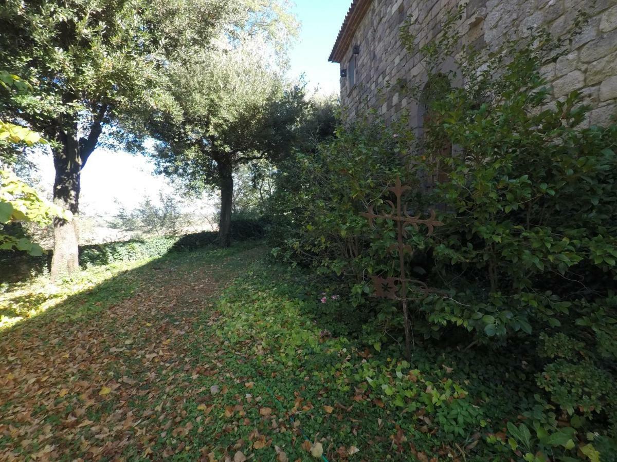 The Nest Orvieto Exterior photo